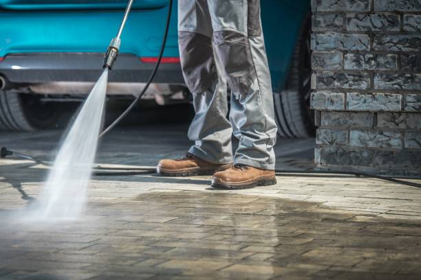 Best Roof Washing  in Lake Clarke Shores, FL